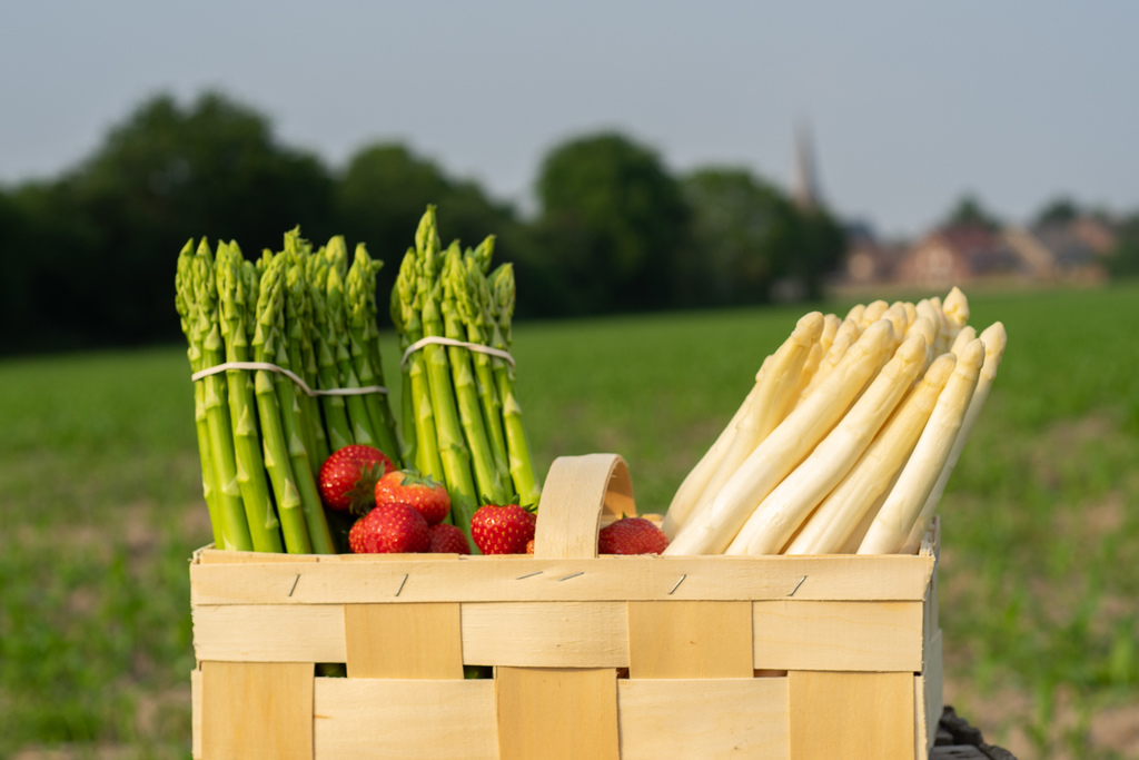 Spargel- und Erdbeerkorb